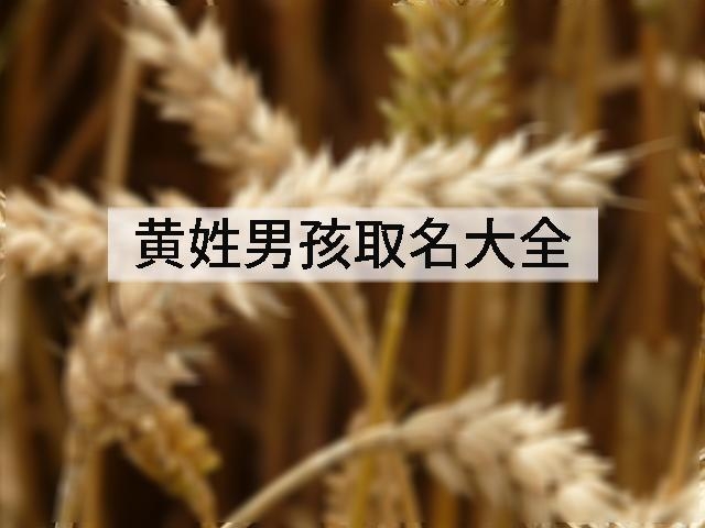 黄姓男孩取名大全