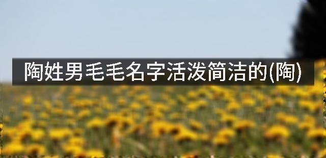 陶姓男毛毛名字活泼简洁的(陶)
